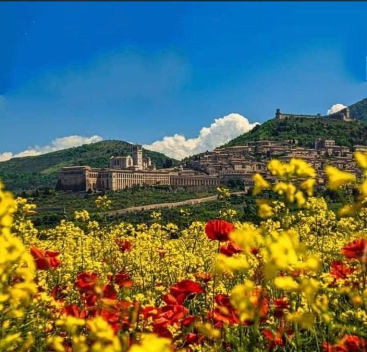 Le Dimore Arcangelo Maria Assisi Bagian luar foto