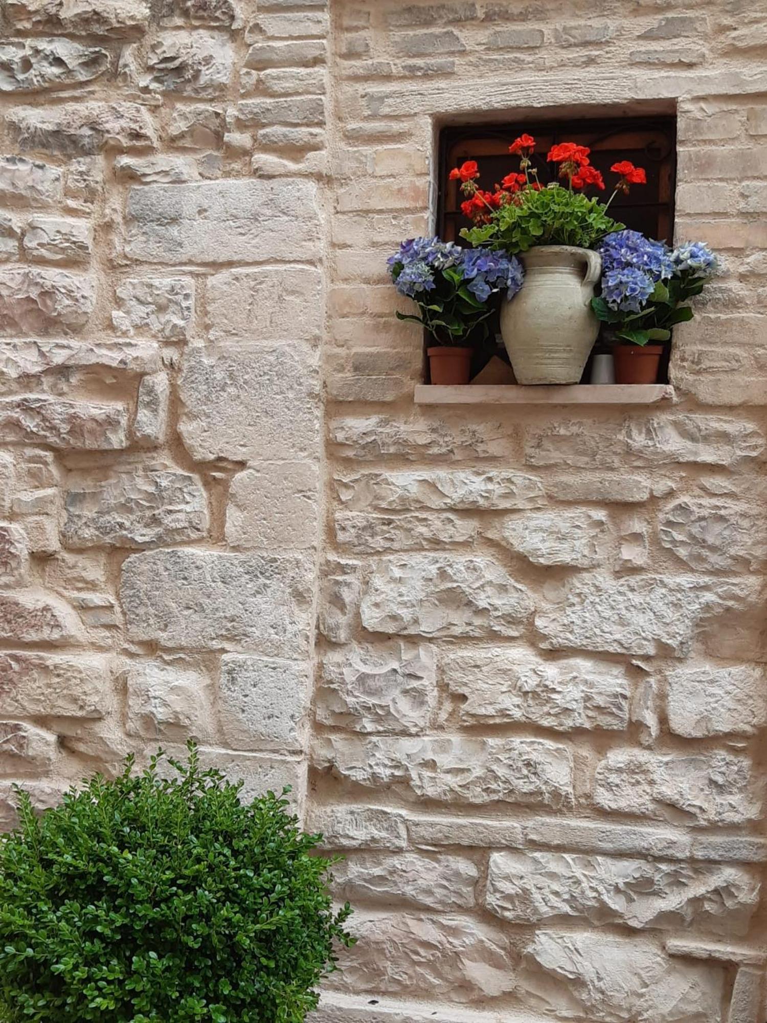 Le Dimore Arcangelo Maria Assisi Bagian luar foto